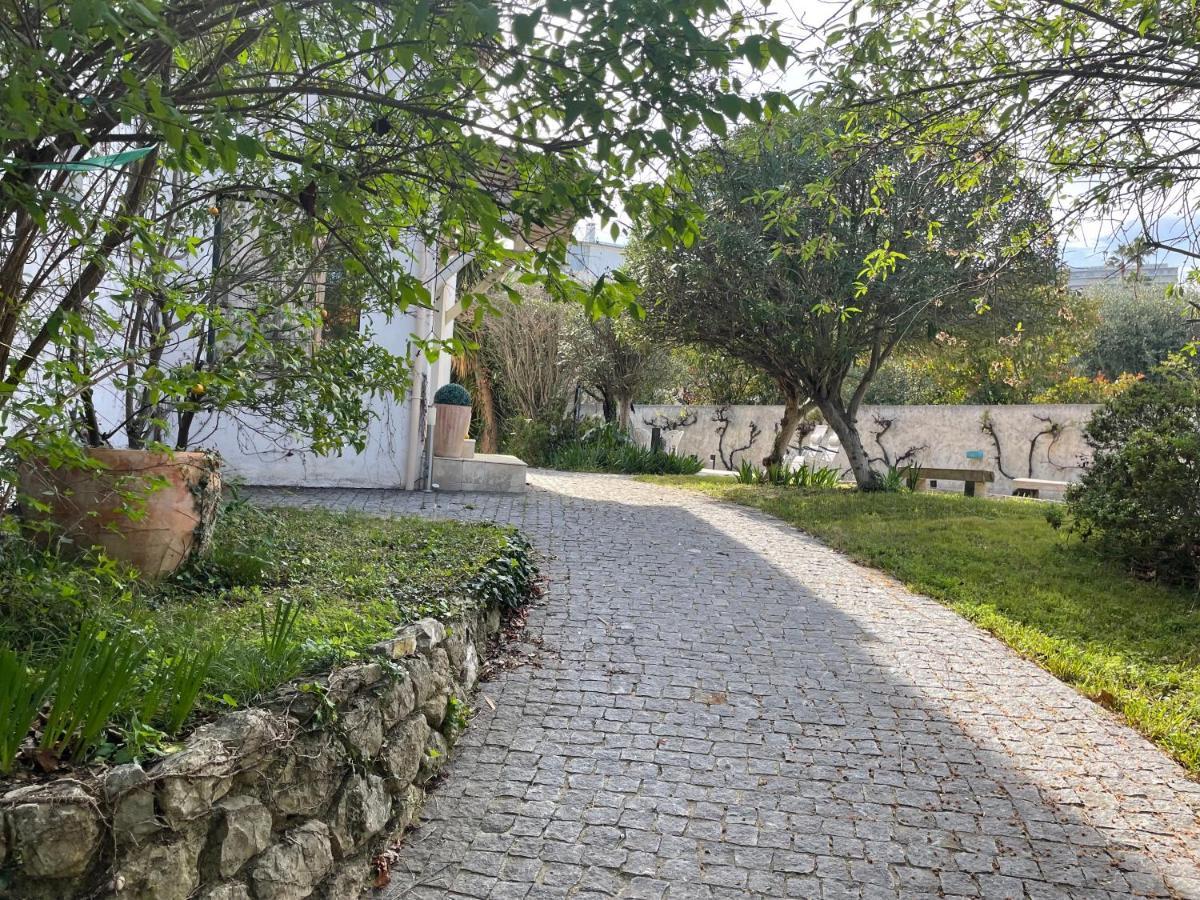 Sublime Haut De Villa Apercu Mer /Hippodrome / Cagnes-sur-Mer Exterior foto